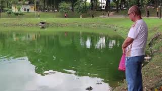 Malaysia Kuala Lumpur Taman Tasik Ampang Hilir Park Youtube