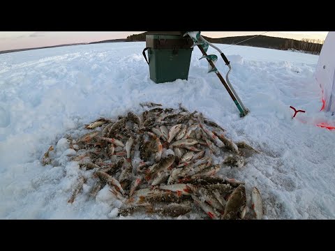 рыбалка в челябинской области видео зимой