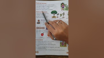 Std 2 - EVS - Ls. 13 - Plants are Important - Explanation and Notes