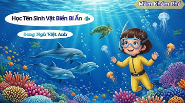 Bé Học Tên Sinh Vật Dưới Biển 🐠 Song Ngữ Việt – Anh Siêu Vui  Mầm Khám Phá