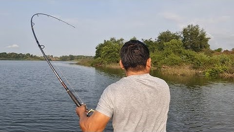 săn cá lóc bông đập suối rao