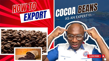 How To Export Cocoa Beans From Nigeria