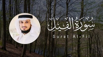 Fares Abbad | 105. Al-Fil | فارس عباد | سورة الفيل