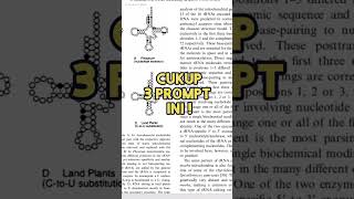 'Trik Rangkum Jurnal Pakai AI (Anti Ribet)'