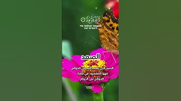 سورة الإخلاص تعدل ثلث القرآن