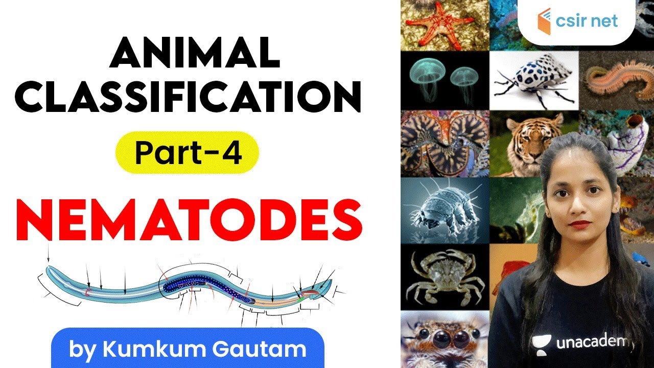 CSIR UGC NET | Life Science by Kumkum Gautam | Animal Classification | Nematodes