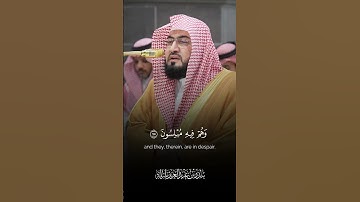 تلاوة من سورة الزخرف | بندر بليلة