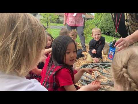 A peek in to Pilgrim Lutheran Christian School