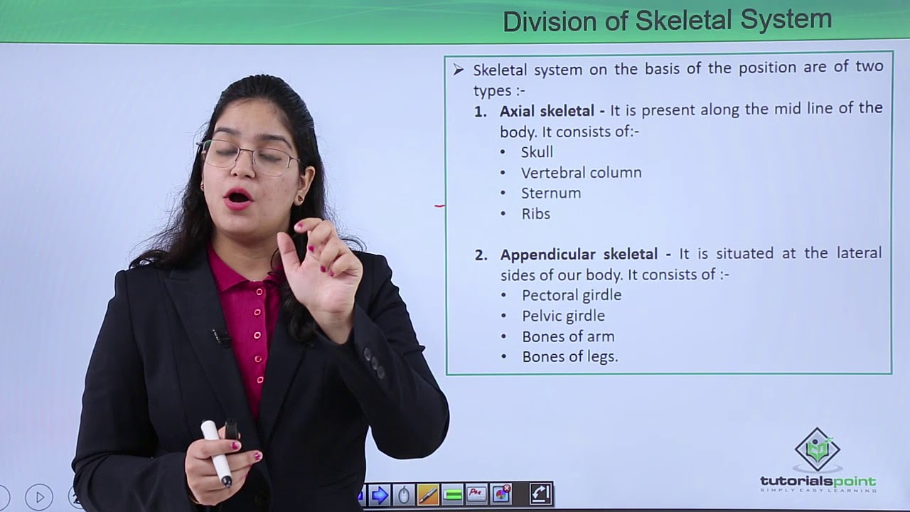 Class10th – Type and division of skeletal system | Locomotion and Movement | Tutorials Point