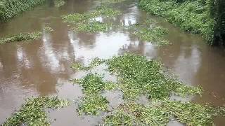River flowing Fast.