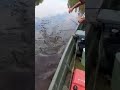 рыбалка на трофейную щуку Республика Коми