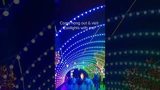 Chicago Walk: visiting Zoolights @ Lincoln Park Zoo Net Worth