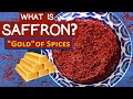 What are saffron health benefits why its called the gold of spices