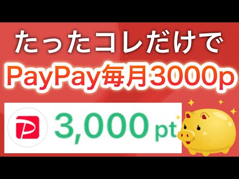   今月から毎月3000p貰える PayPay