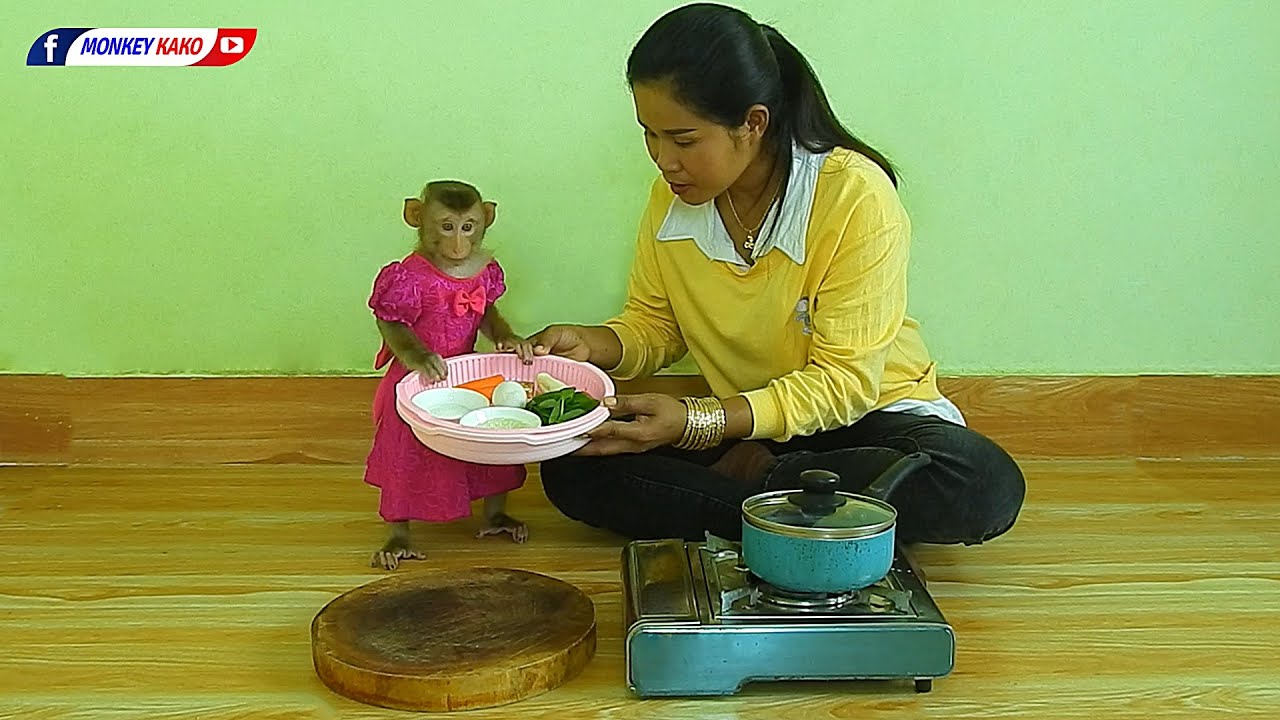 Obedient Animal | Master Chef Baby Luna Cooking Porridge Recipe