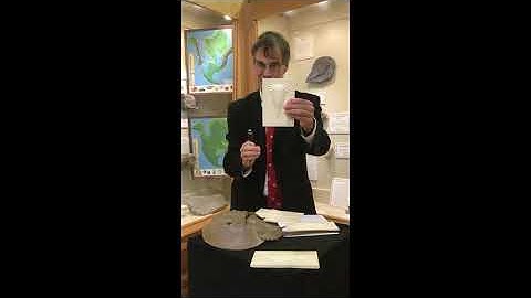 Tate Talk: Eurypterids