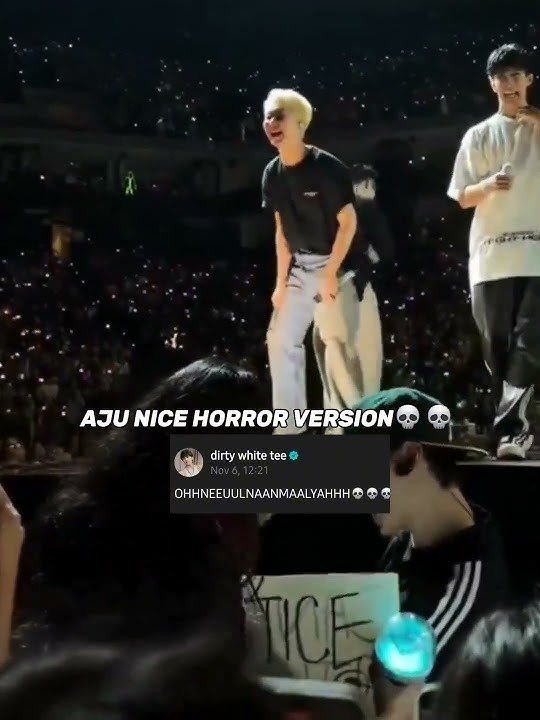 AJU NICE horror version by a CARAT😆 #seventeen #vernon #carat #concert