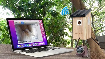 How to Watch Bird Box Camera Without WiFi network