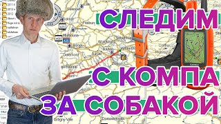 Как отслеживать собак с компьютера? BaseCamp для Garmin Alpha 50