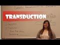 Bacterial Processes: Conjugation and order of transfer ...