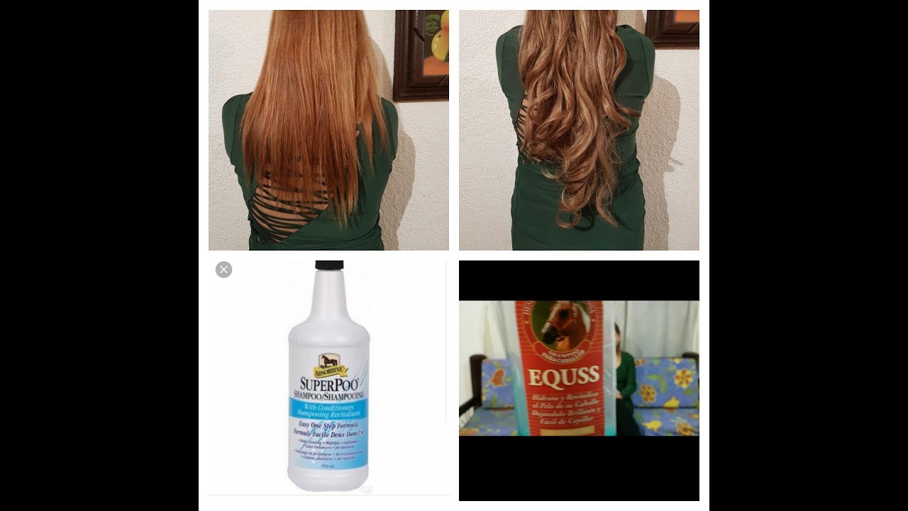 shampoo para caballo EQUSS y SUPER POO, mito o realidad shampoo para caballo EQUSS y SUPER POO, mito o realidad