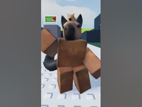 Cat meme Roblox - YouTube