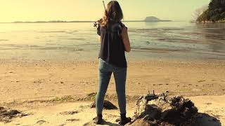 Let Down - Palisades (violin cover)