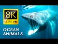 World&#39;s Most Beautiful SEA ANIMALS 8K ULTRA HD - #8K for Relaxation &amp; Calming Music
