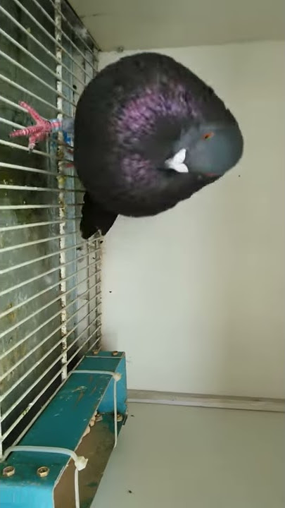 6 de noviembre de 2016