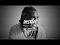 [FREE] Burna Boy X Rema Type Beat 2023 - "Destiny" | @anrkilmorbeats