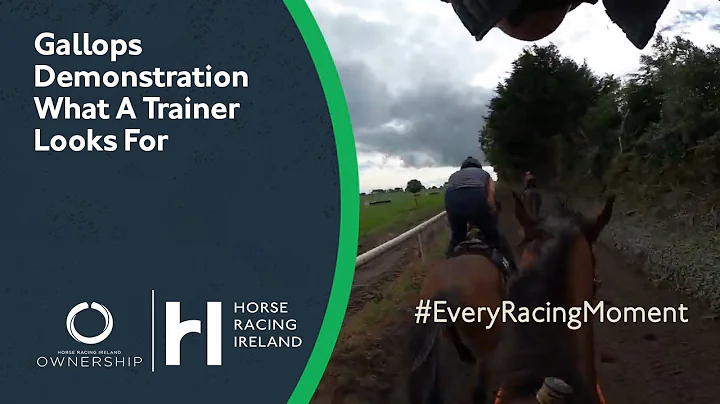 Gallops Demonstration | Racing Explained