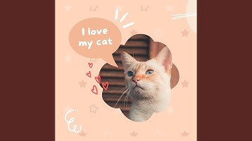 Terrific Backdrops for Moody Kittens