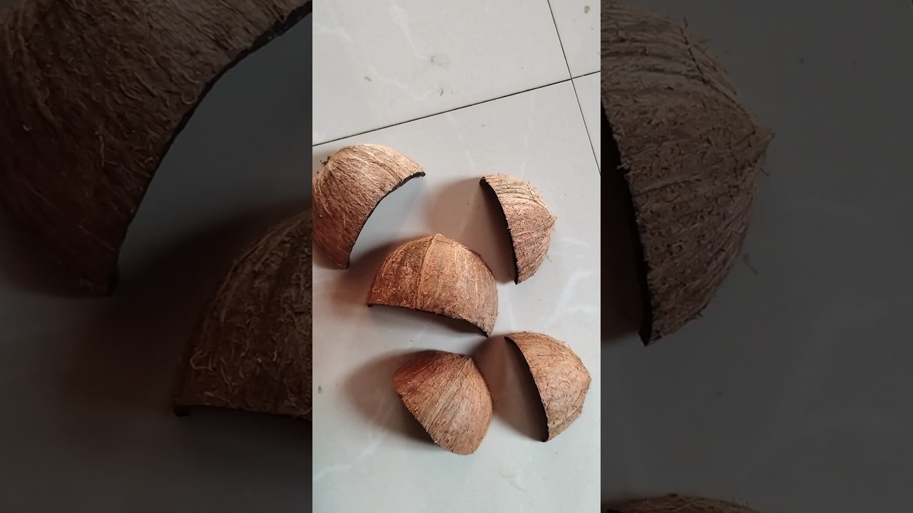 coconut shell craft ideas simple | umbrella making | kudamattam | thrissur pooram 