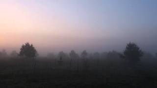 Утро. Рассвет. Картинка Природы. Full HD(Видеоканал