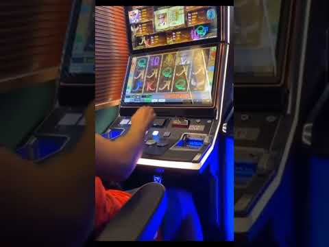 Spielen Sie in Casinia und sparen Sie mit unserem exklusiven Promo Code - Jetzt Online-Casino erleben!