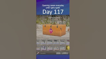 Opening Cases everyday until I unbox a gold | Day 117 #cs2 #caseopening