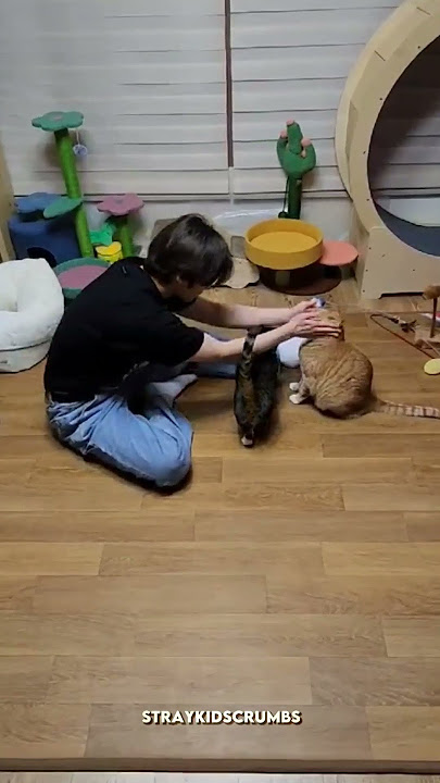 Download lagu Lee know playing with Soonie and Dori 🥺