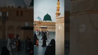 Mera Tob Aasra Mera Nabi Hai....