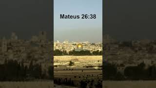 Mateus 26:38 narrado em Português brasileiro #bíblia #evangelho #JesusCristo Mateus 26:38 narrado em Português brasileiro #bíblia #evangelho #JesusCristo