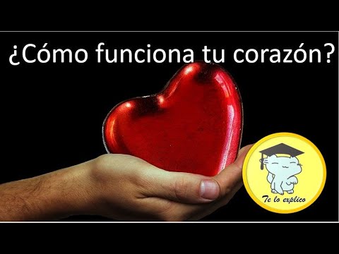 Vídeo: Cómo Funciona Tu Corazón