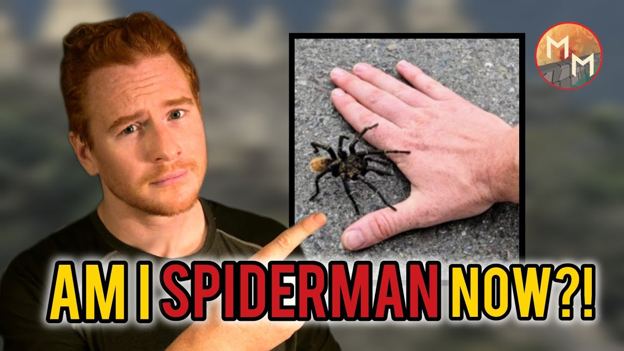 I Rescued MASSIVE spider at these ancient ruins!