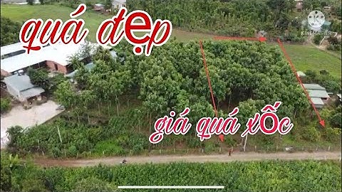 (đã bán)Bán đất đăk nông bán đất nền giá siêu rẻ. Đất bằng đẹp. Vuông như cuốn vỡ.Lh zalo 0914743898