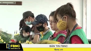 FBNC - Ngành nông nghiệp đặt mục tiêu mỗi năm tăng thêm 10% lượng Doanh nghiệp