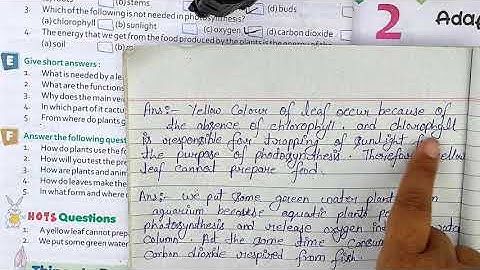 Class 4 Science //Chapter 1 Green Plant / Long  Question &Answer // part 2