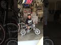 Lowrider bike by kali certified bike shop