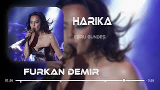 Ebru Gündeş - Harika ( Furkan Demir Remix )