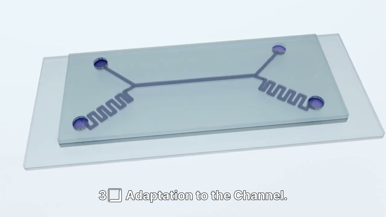 Fluid Antennas: 6G's Game-Changing Paradigm