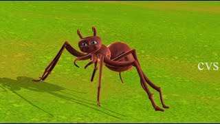 Itsy Bitsy Spider Incy Wincy Spider - 3D Animation English Nursery Rhyme Song For Children
