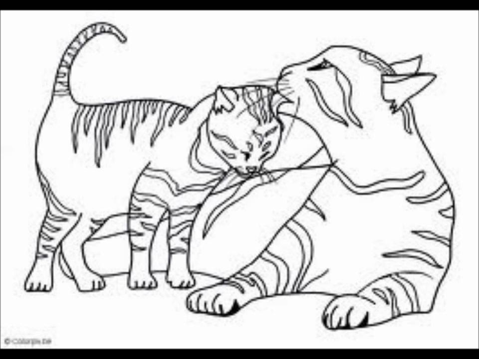 Realistic Warrior Cat Coloring Pages Coloring Pages