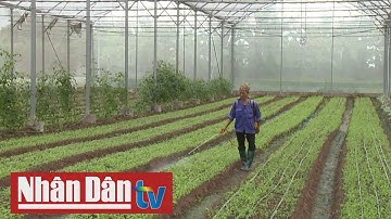 Bảo đảm an ninh lương thực vững chắc trong mọi tình huống